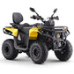 ASIX Gladiator 200 RR T3B