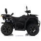 Asix Cyber 250RR T3B