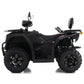 Asix Cyber 250RR T3B